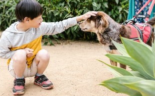 Training a Dog to Come When Called
